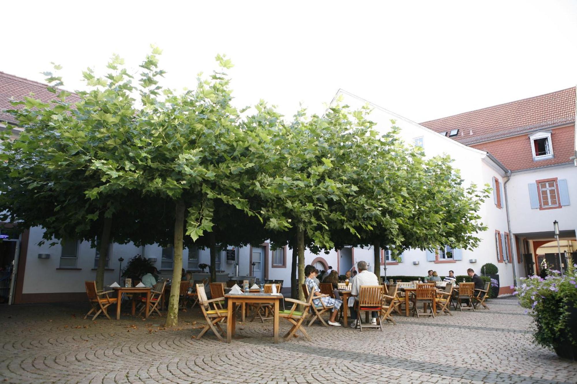 Landhotel Zum Schwanen Mit Restaurant Mona Liza Osthofen Kültér fotó
